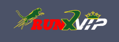 Exploring Runx Bet Your Gateway to Exciting Online Betting